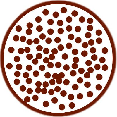 Image for choice number 3