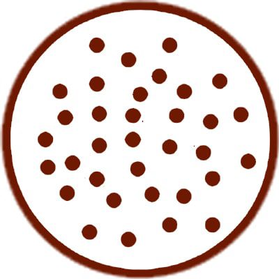 Image for choice number 2