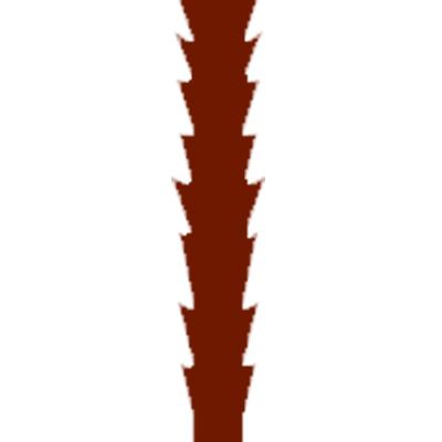 Image for choice number 2